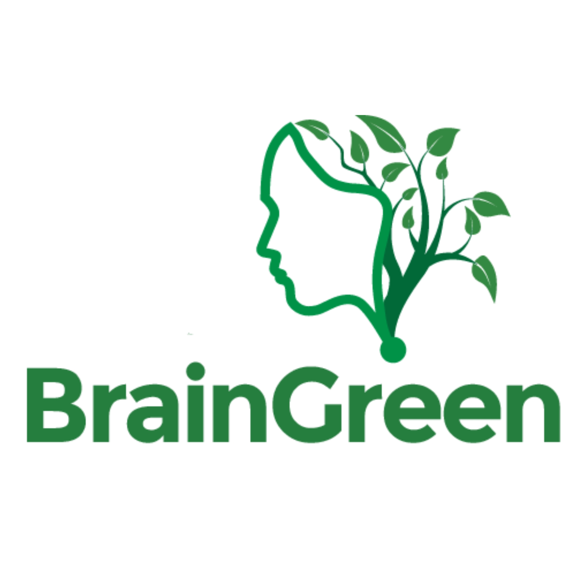 BrainGreen Foundation logo